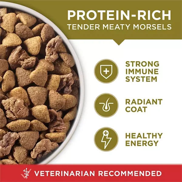 Purina ONE SmartBlend Adult Dry Dog Food, Natural Lamb and Rice Formula 44 lbs. - Image 2