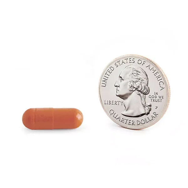 Member's Mark Clinical Strength Cinnamon 500 mg. Capsules, 170 ct. - Image 3