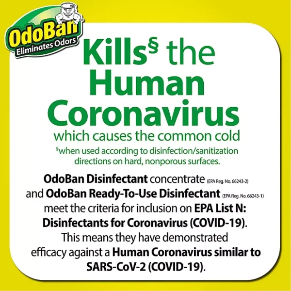 OdoBan Disinfectant Spray, 14.6 oz./can, 6 pk. (Choose Scent) - Image 3