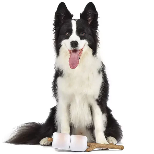 Orvis Pet Outdoor 3 Piece Toy Set, with Campfire Plush, Lantern Tug Toy, and Removable Marshmallow Floating Stick - Image 4